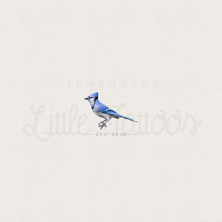 Blue Jay Temporary Tattoo - Set of 3