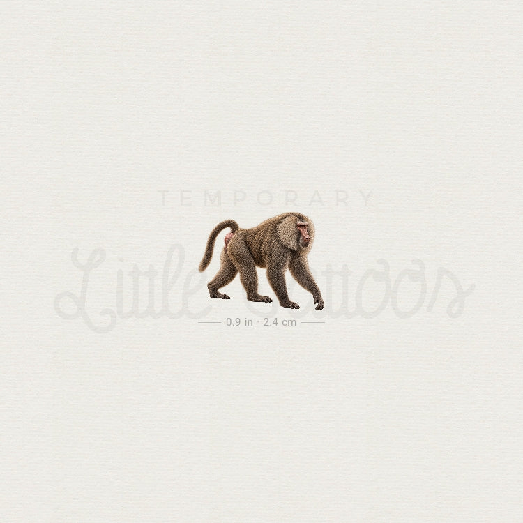Baboon Temporary Tattoo - Set of 3