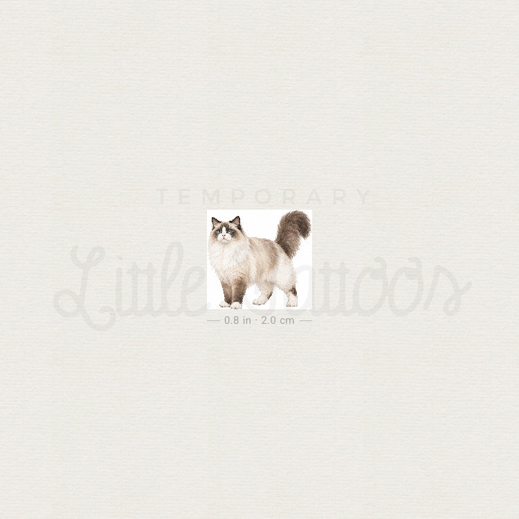Ragdoll Cat Temporary Tattoo - Set of 3