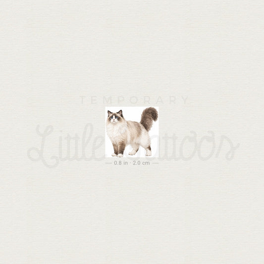 Ragdoll Cat Temporary Tattoo - Set of 3