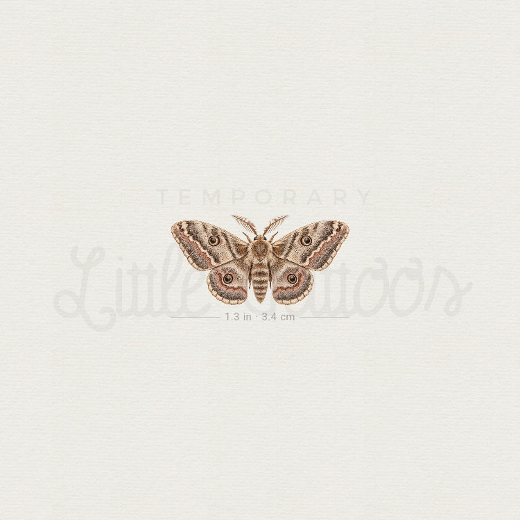 Watercolor Moth Temporary Tattoo - Set of 3