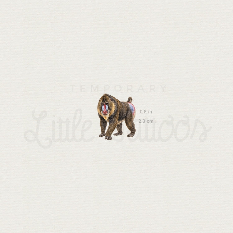 Mandrill Temporary Tattoo - Set of 3
