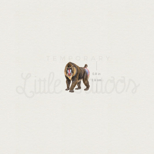 Mandrill Temporary Tattoo - Set of 3