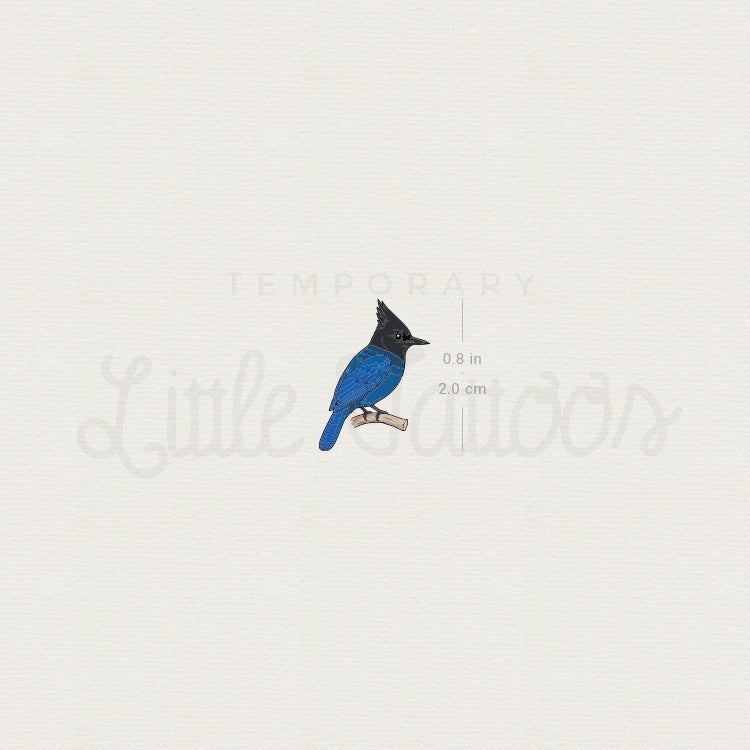Steller's Jay Temporary Tattoo - Set of 3
