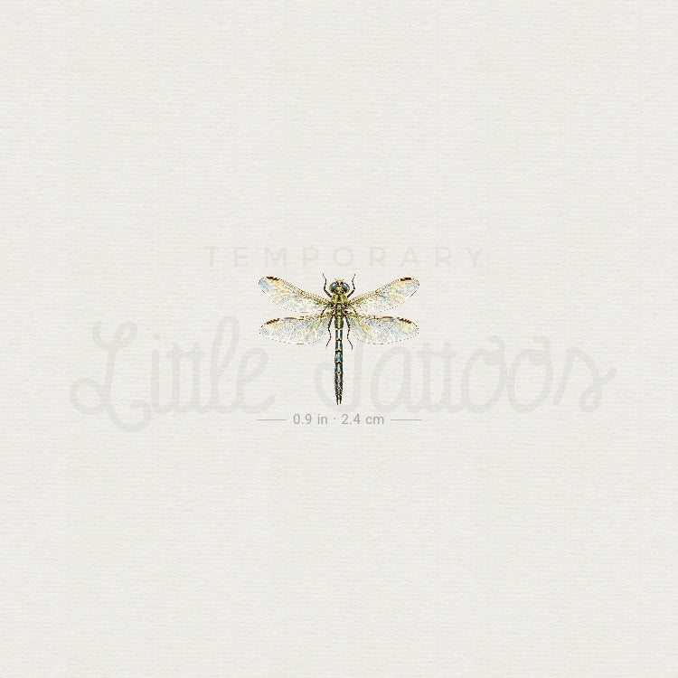 Watercolor Dragonfly Temporary Tattoo - Set of 3