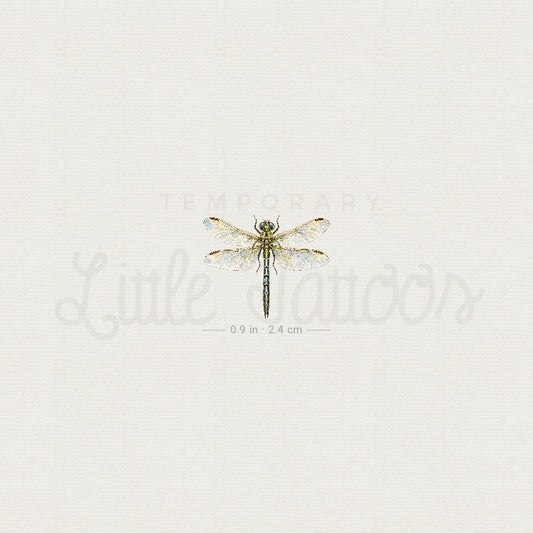 Watercolor Dragonfly Temporary Tattoo - Set of 3