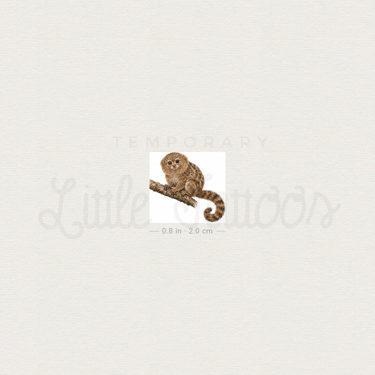 Pygmy Marmoset Temporary Tattoo - Set of 3