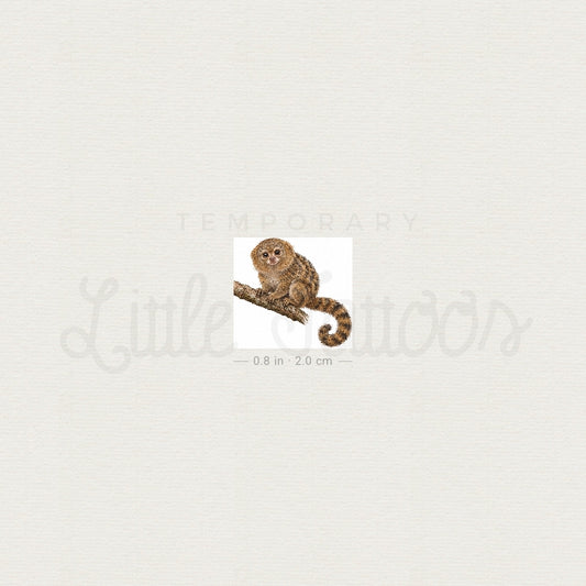 Pygmy Marmoset Temporary Tattoo - Set of 3
