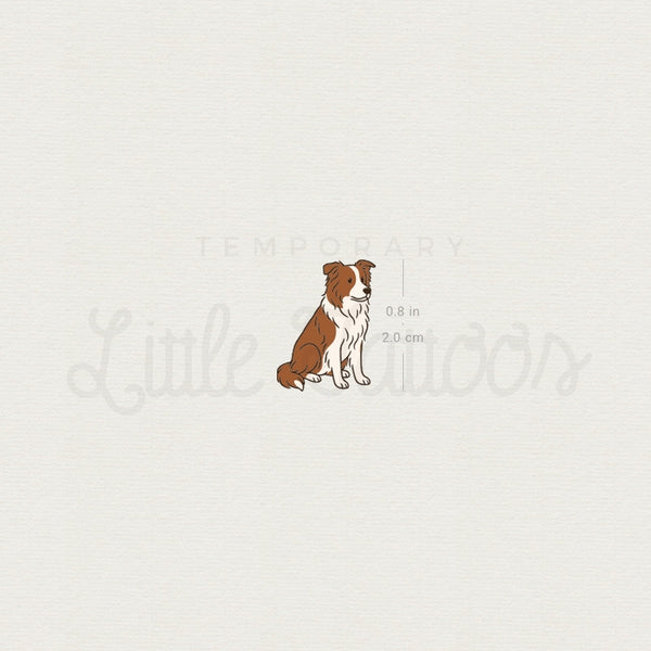 Chocolate Border Collie Temporary Tattoo - Set of 3
