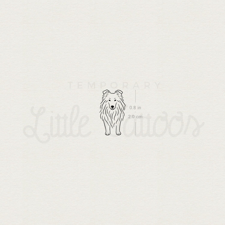 Tatuaje temporal de Collie de línea fina - Juego de 3