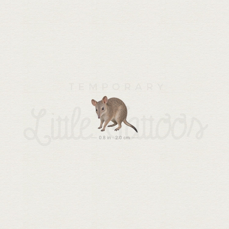 Bandicoot Temporary Tattoo - Set of 3