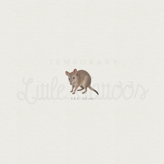 Bandicoot Temporary Tattoo - Set of 3