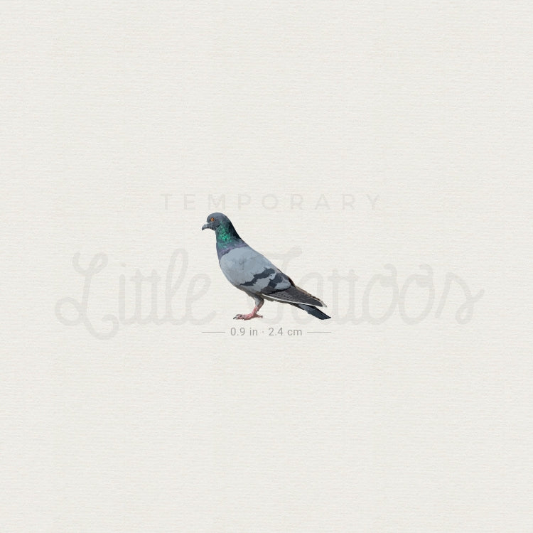 Pigeon Temporary Tattoo - Set of 3