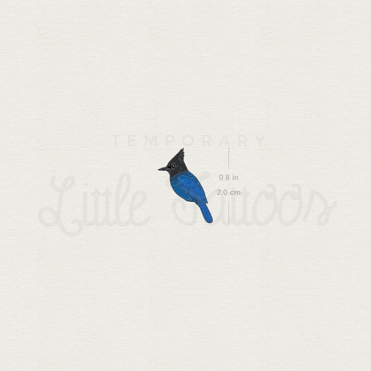 Little Steller's Jay Temporary Tattoo - Set of 3