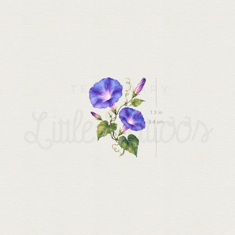 Morning Glory Temporary Tattoo - Set of 3