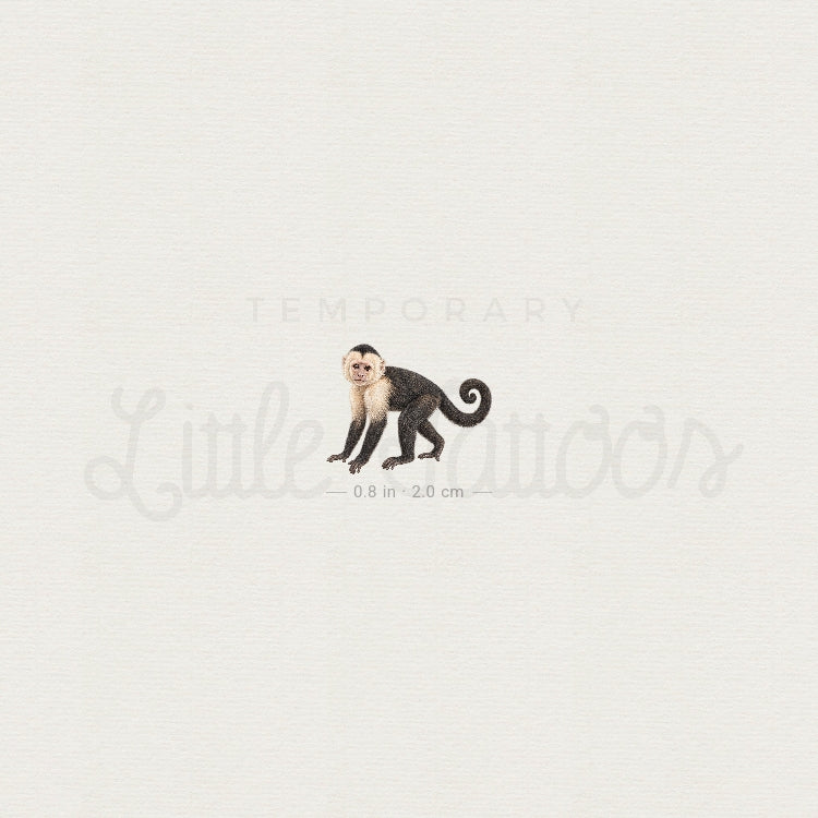 Capuchin Monkey Temporary Tattoo - Set of 3