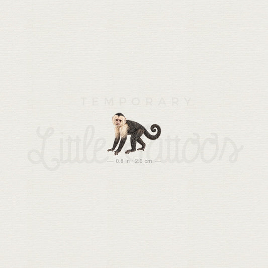 Capuchin Monkey Temporary Tattoo - Set of 3