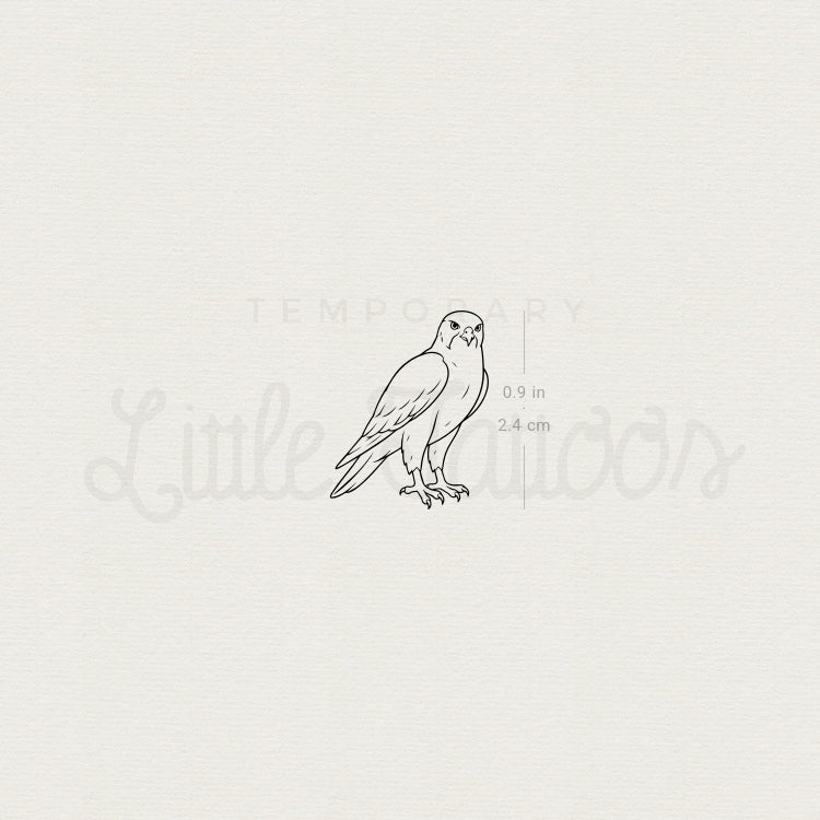 Falcon Temporary Tattoo - Set of 3