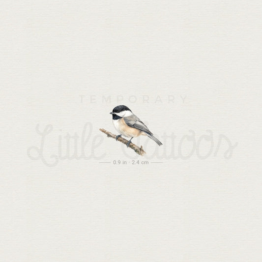 Black-capped Chickadee Temporary Tattoo - Set of 3
