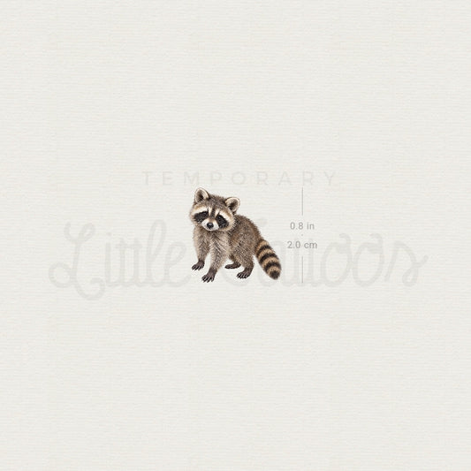 Baby Raccoon Temporary Tattoo - Set of 3