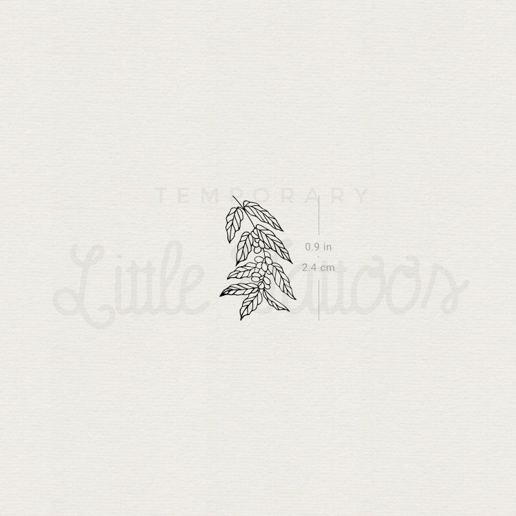 Coffea Plant Temporary Tattoo - Set of 3