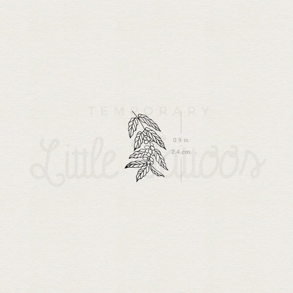 Coffea Plant Temporary Tattoo - Set of 3