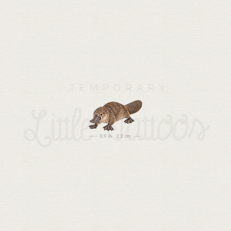 Watercolor Platypus Temporary Tattoo - Set of 3