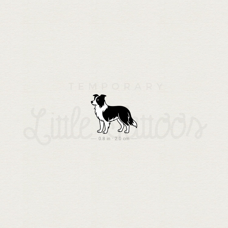 Tatuaje temporal de border collie en blanco y negro (juego de 3)