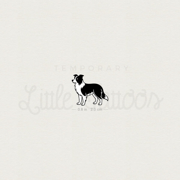 Black And White Border Collie Temporary Tattoo - Set of 3