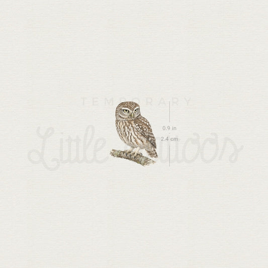 Little Owl Temporary Tattoo - Set of 3