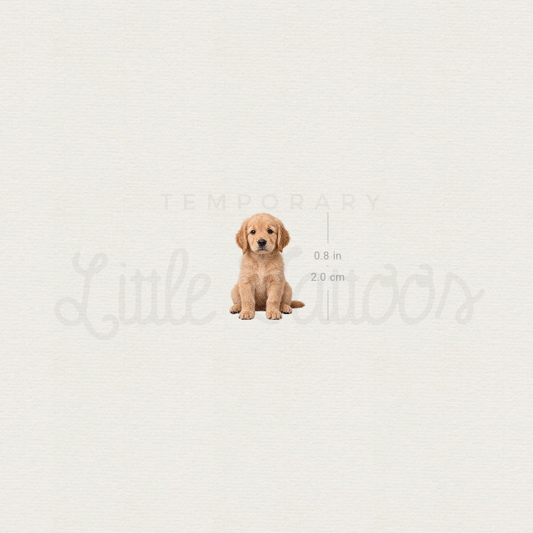 Seated Golden Retriever Puppy Temporary Tattoo - Set of 3