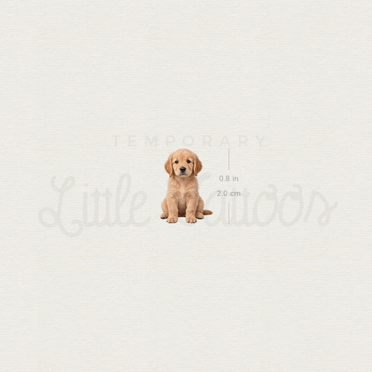Seated Golden Retriever Puppy Temporary Tattoo - Set of 3