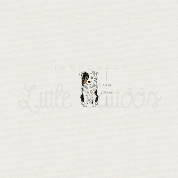 Border Collie Temporary Tattoo - Set of 3