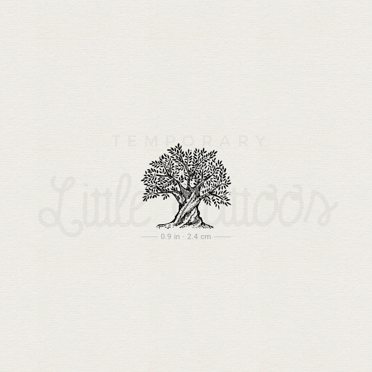 Tatuaje temporal de olivo - Juego de 3