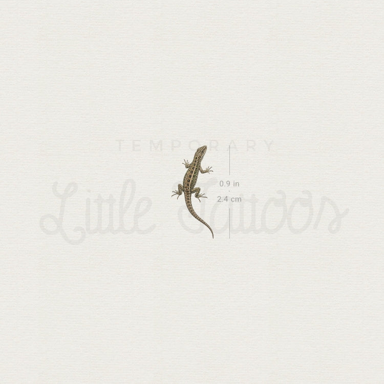Lizard Temporary Tattoo - Set of 3