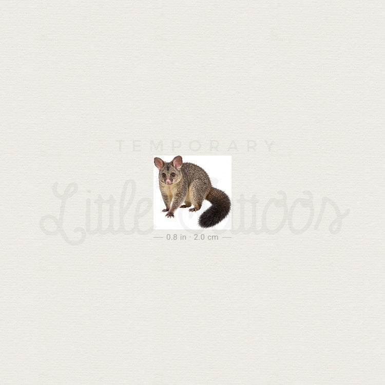 Possum Temporary Tattoo - Set of 3