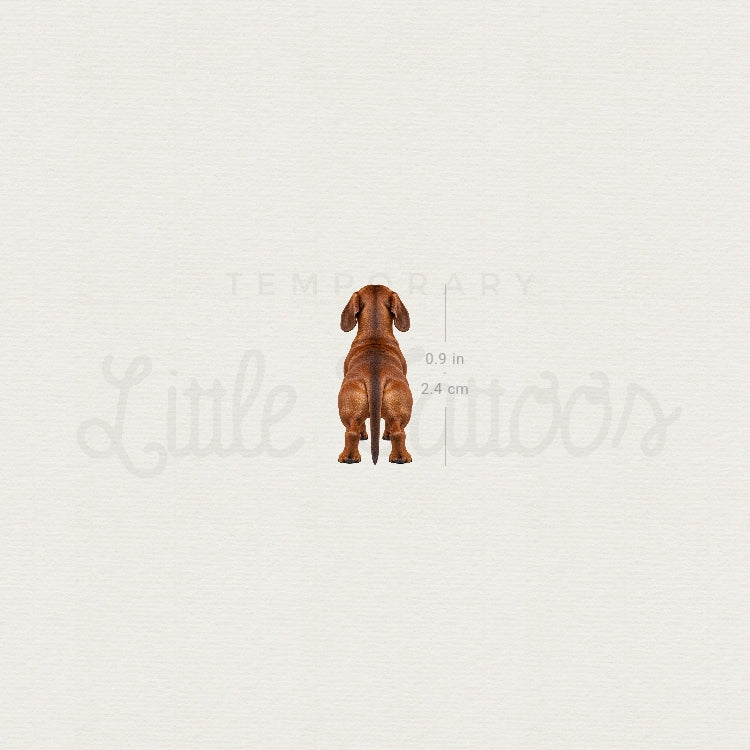 Dachshund Back View Temporary Tattoo - Set of 3