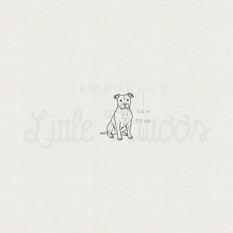Little American Staffordshire Terrier Temporary Tattoo - Set of 3