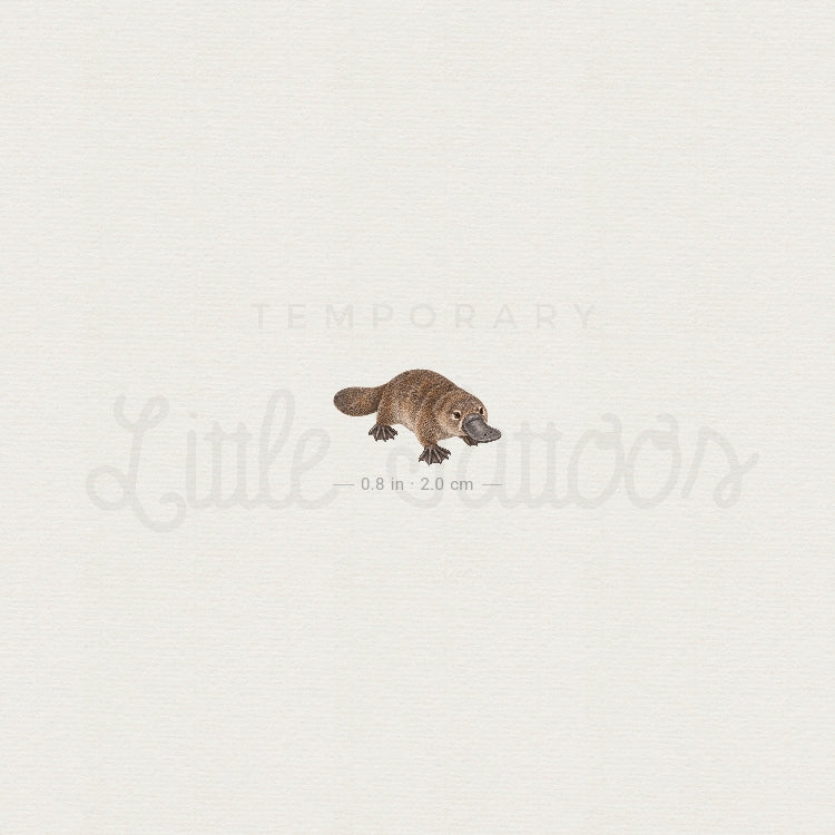 Small Platypus Temporary Tattoo - Set of 3