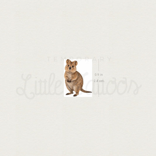 Quokka Temporary Tattoo - Set of 3