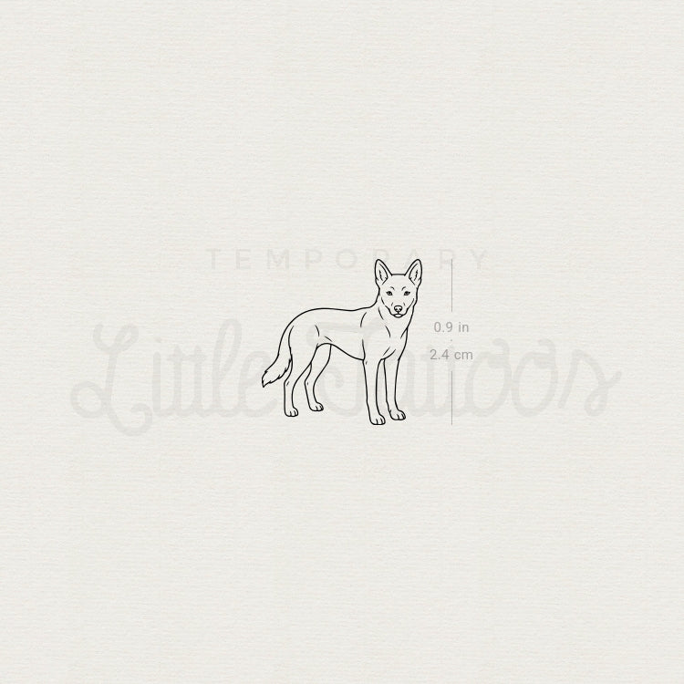 Dingo Temporary Tattoo - Set of 3