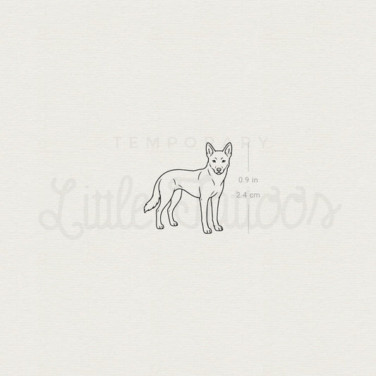Dingo Temporary Tattoo - Set of 3