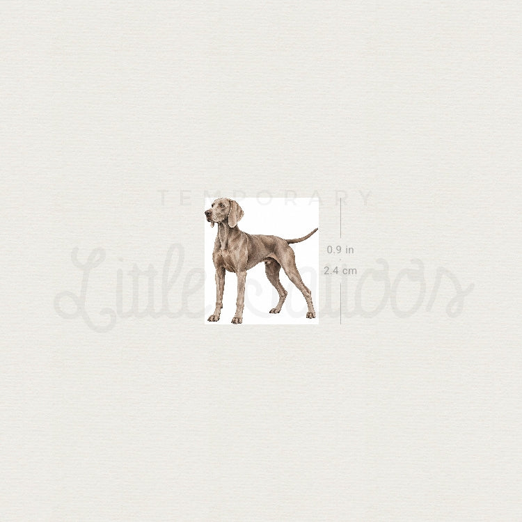 Weimaraner Temporary Tattoo - Set of 3