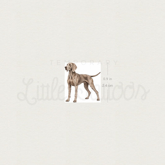 Weimaraner Temporary Tattoo - Set of 3