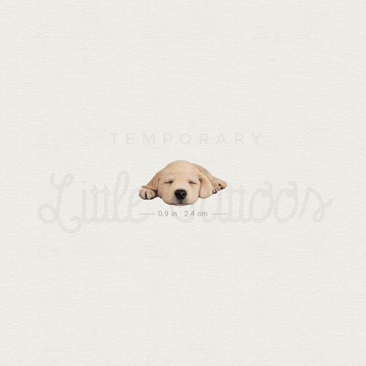Sleeping Labrador Retriever Temporary Tattoo - Set of 3