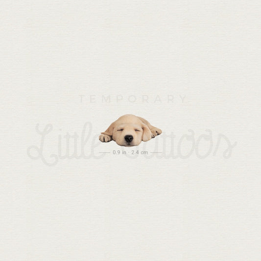Sleeping Labrador Retriever Temporary Tattoo - Set of 3