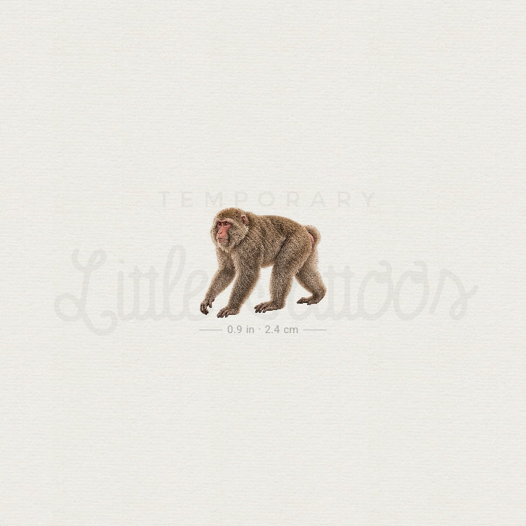 Macaque Temporary Tattoo - Set of 3