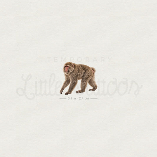 Macaque Temporary Tattoo - Set of 3