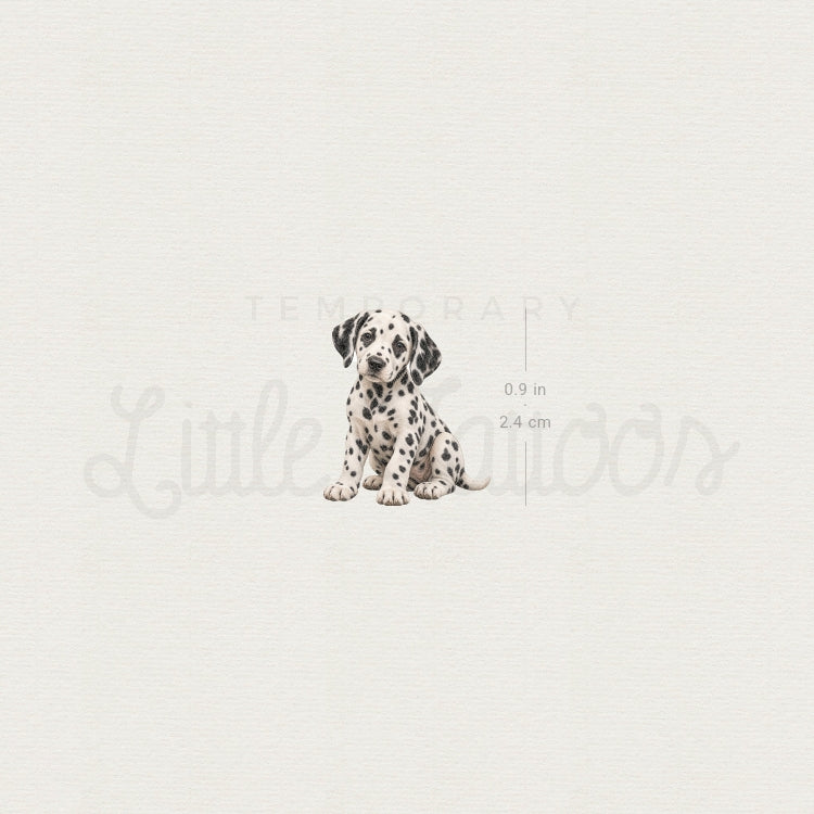 Dalmatian Puppy Temporary Tattoo - Set of 3