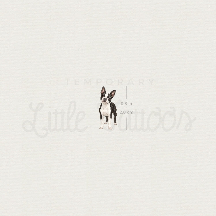 Realistic Boston Terrier Temporary Tattoo - Set of 3